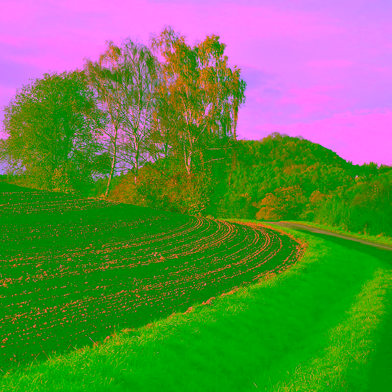 Frisch bearbeitetes Feld im Herbstlicht